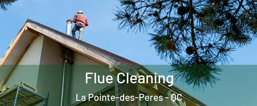  Flue Cleaning La Pointe-des-Peres - QC