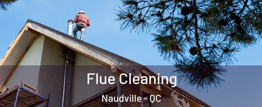  Flue Cleaning Naudville - QC