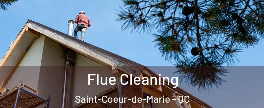  Flue Cleaning Saint-Coeur-de-Marie - QC