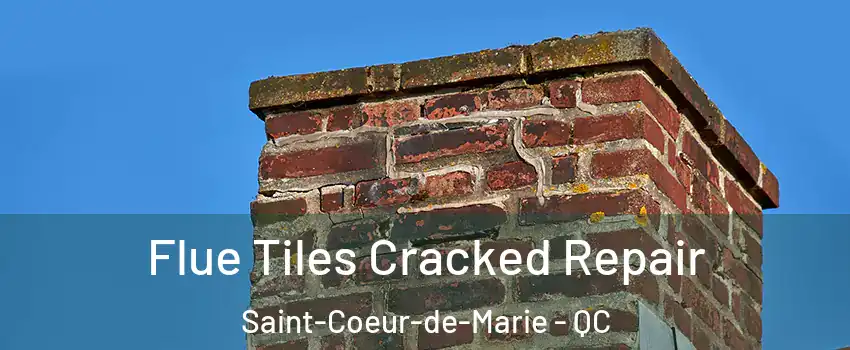  Flue Tiles Cracked Repair Saint-Coeur-de-Marie - QC