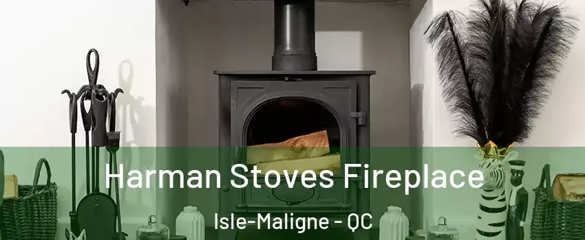  Harman Stoves Fireplace Isle-Maligne - QC
