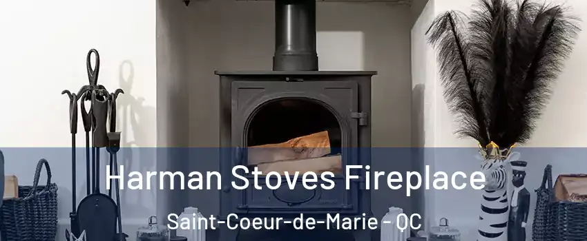  Harman Stoves Fireplace Saint-Coeur-de-Marie - QC