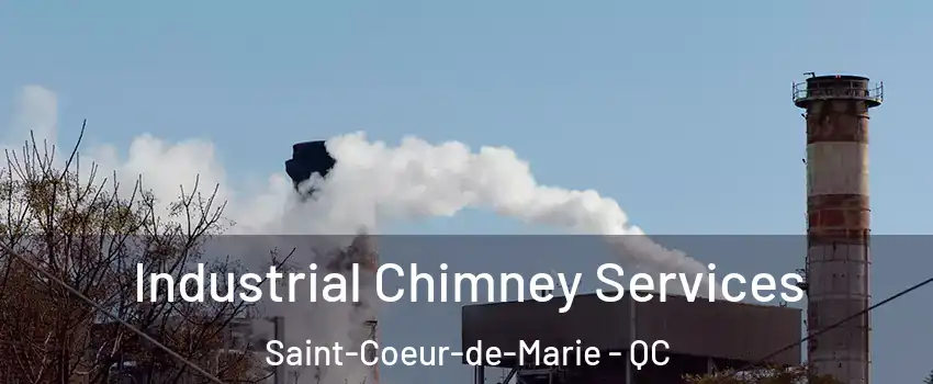  Industrial Chimney Services Saint-Coeur-de-Marie - QC