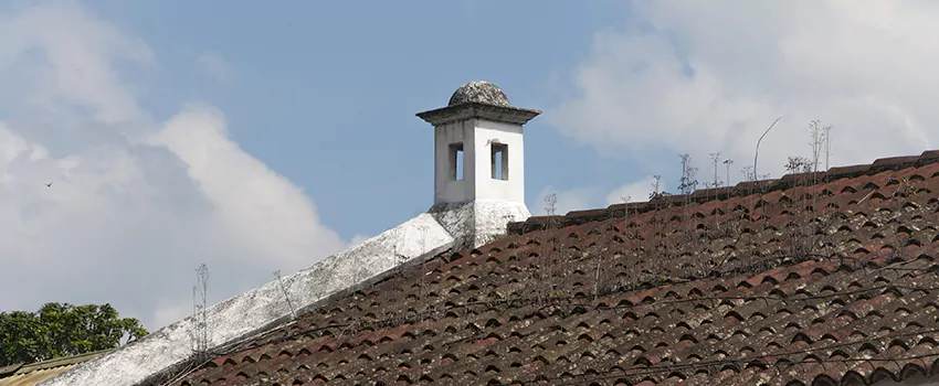 Wind-Resistant Chimney Caps Installation and Repair Services in Alma, Quebec