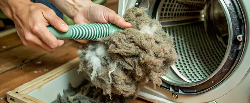 Best Dryer Lint Removal Company in Alma, Quebec
