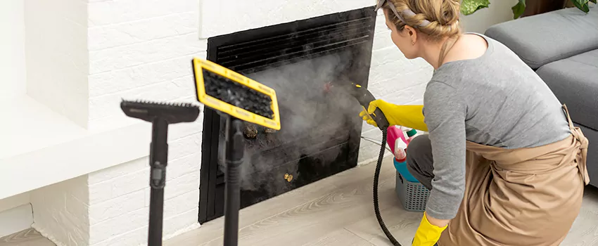 Fireplace Doors Cleaning in Alma, Quebec