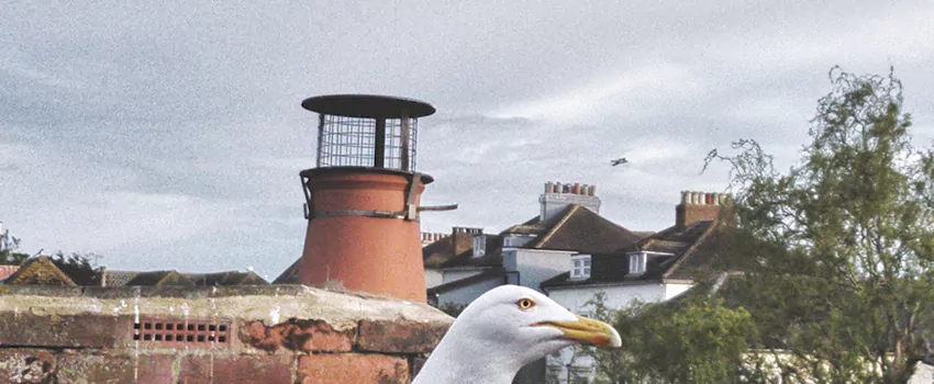 Chimney Cap Bird Guard Repair in Alma, Quebec