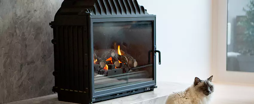 Fireplace Damaged Damper Frame Repair Services in Alma, Quebec