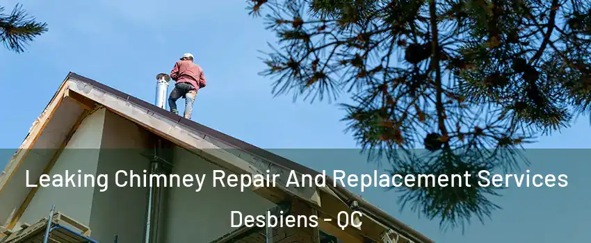  Leaking Chimney Repair And Replacement Services Desbiens - QC