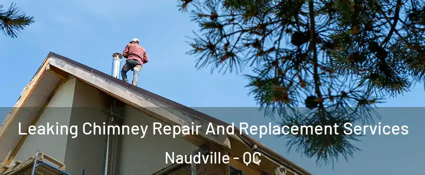  Leaking Chimney Repair And Replacement Services Naudville - QC