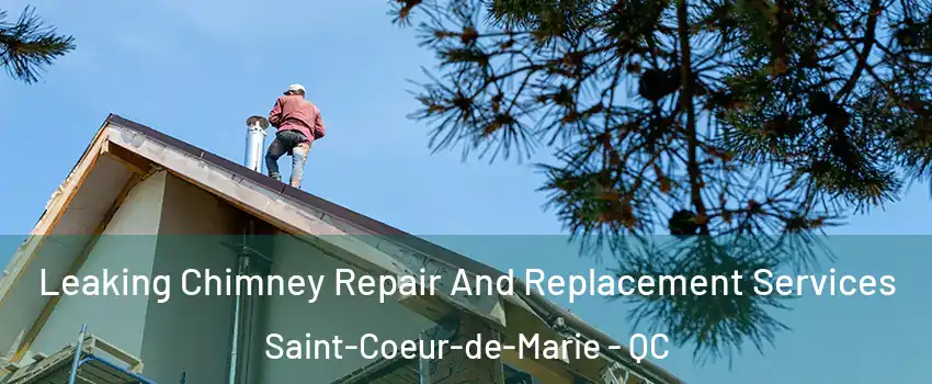  Leaking Chimney Repair And Replacement Services Saint-Coeur-de-Marie - QC