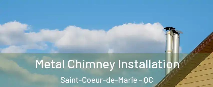  Metal Chimney Installation Saint-Coeur-de-Marie - QC