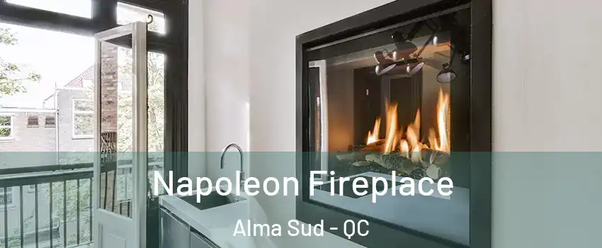  Napoleon Fireplace Alma Sud - QC