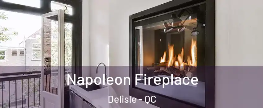  Napoleon Fireplace Delisle - QC