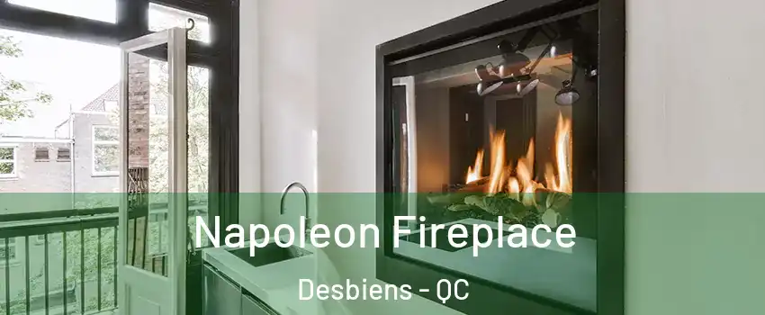  Napoleon Fireplace Desbiens - QC