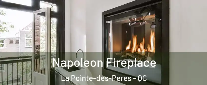  Napoleon Fireplace La Pointe-des-Peres - QC