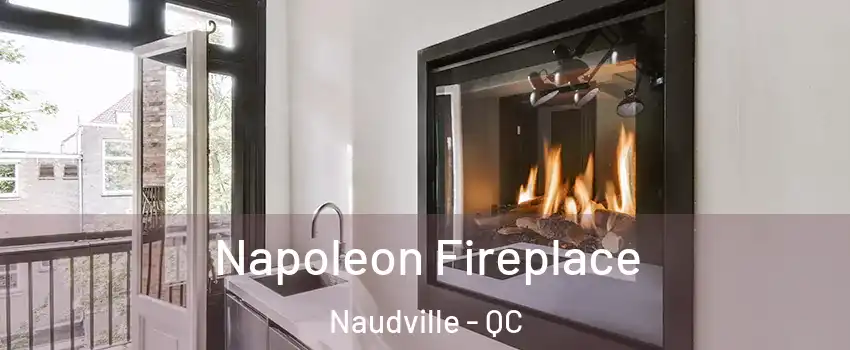  Napoleon Fireplace Naudville - QC