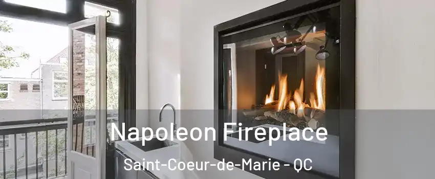  Napoleon Fireplace Saint-Coeur-de-Marie - QC
