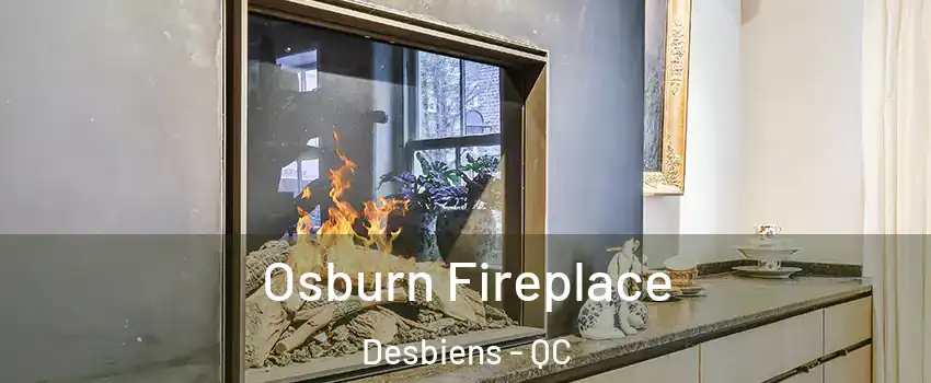  Osburn Fireplace Desbiens - QC