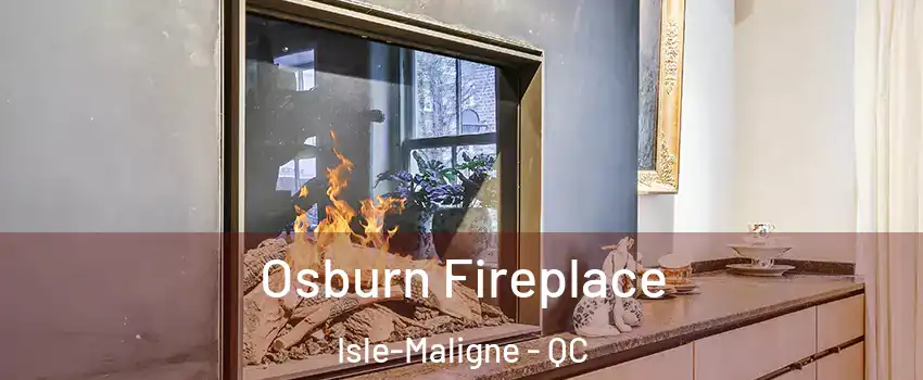  Osburn Fireplace Isle-Maligne - QC