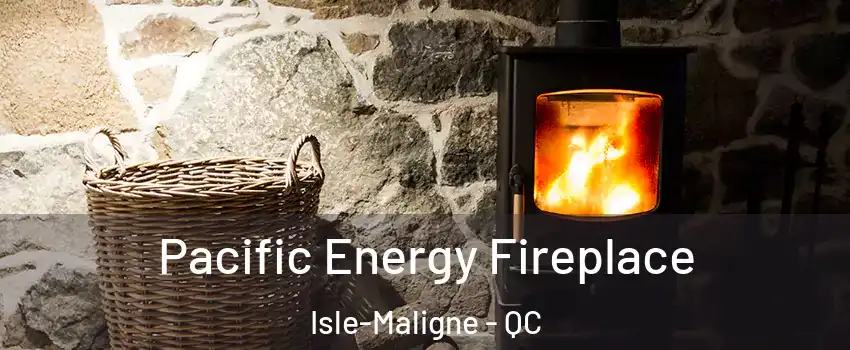  Pacific Energy Fireplace Isle-Maligne - QC