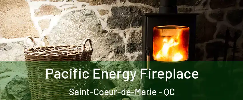  Pacific Energy Fireplace Saint-Coeur-de-Marie - QC