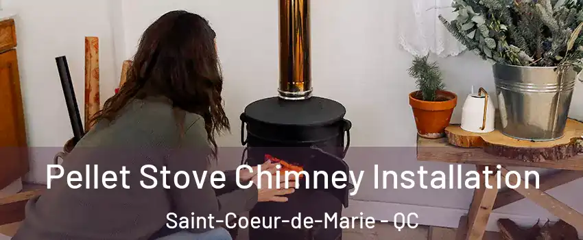  Pellet Stove Chimney Installation Saint-Coeur-de-Marie - QC
