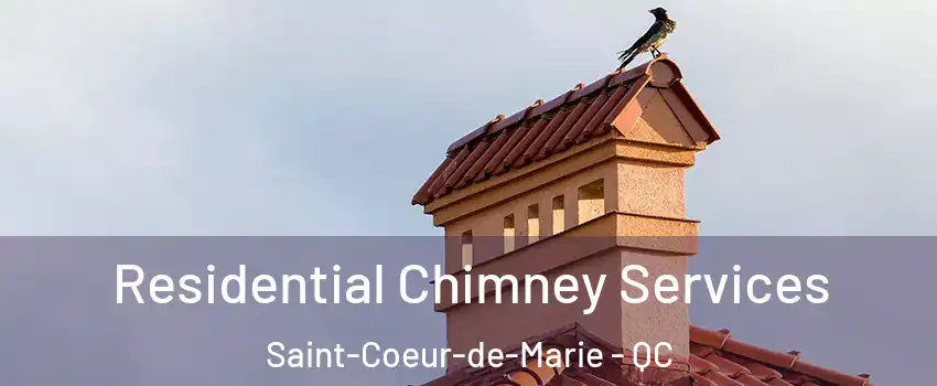  Residential Chimney Services Saint-Coeur-de-Marie - QC