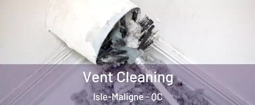  Vent Cleaning Isle-Maligne - QC
