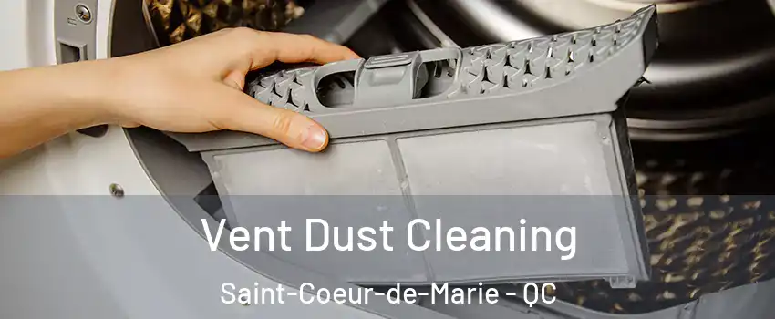  Vent Dust Cleaning Saint-Coeur-de-Marie - QC