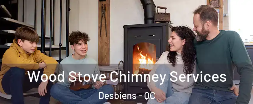  Wood Stove Chimney Services Desbiens - QC