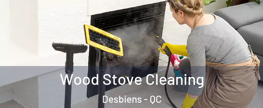  Wood Stove Cleaning Desbiens - QC
