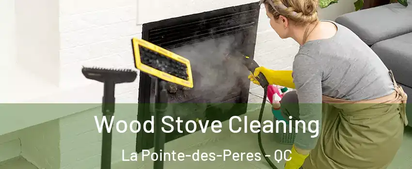  Wood Stove Cleaning La Pointe-des-Peres - QC